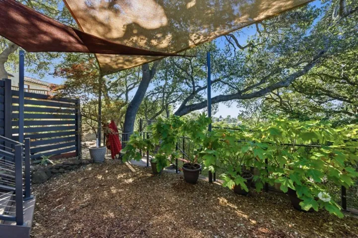 Side yard off primary bedroom
