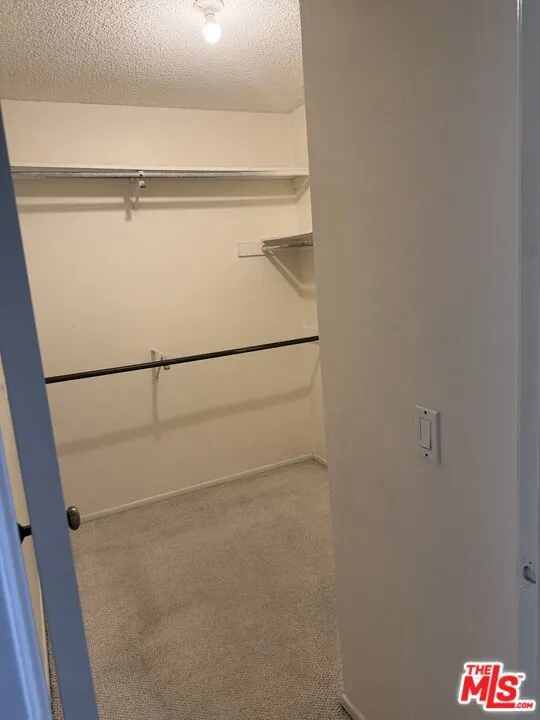 walk-in closet from door