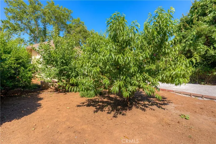 1514 Salem Street, Chico, California 95928
