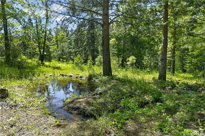 2708 Grey Fox Dr. Drive, Weed, California 96064