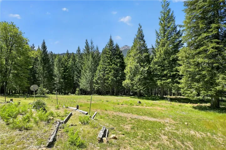 2708 Grey Fox Dr. Drive, Weed, California 96064