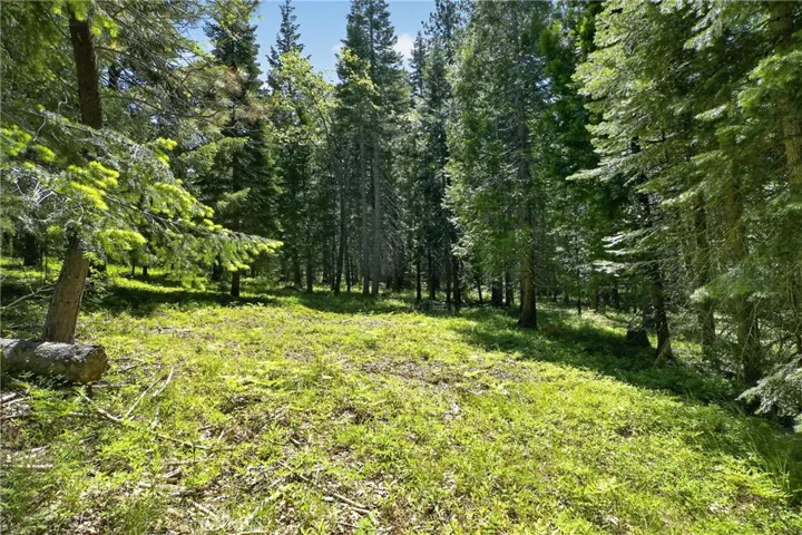 2708 Grey Fox Dr. Drive, Weed, California 96064