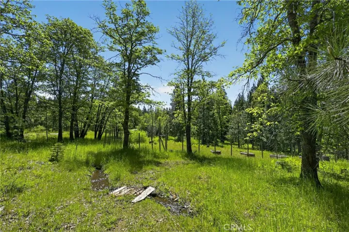 2708 Grey Fox Dr. Drive, Weed, California 96064