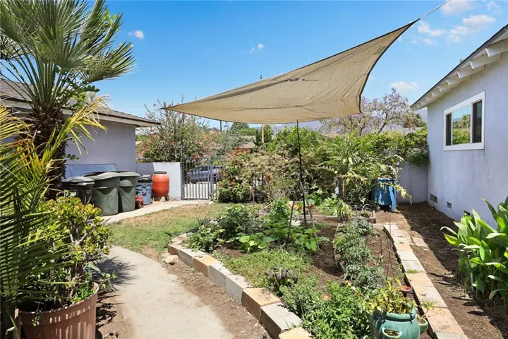 veggie garden