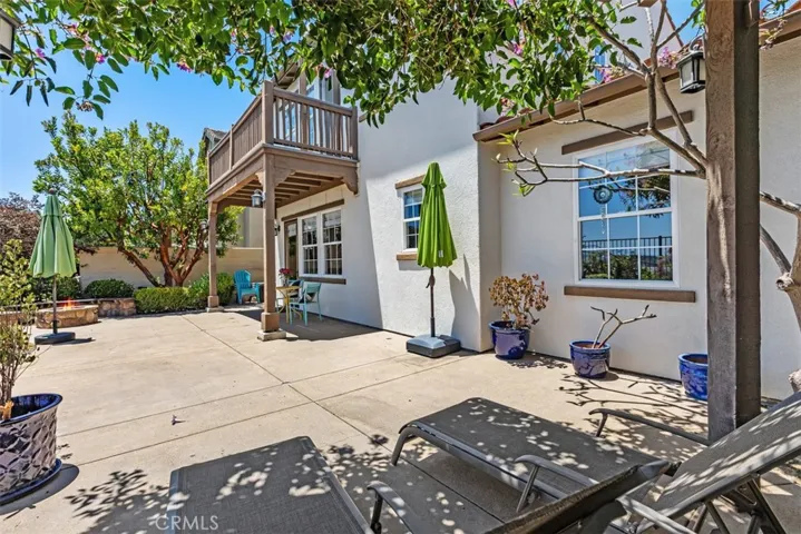 Low maintenance Backyard
