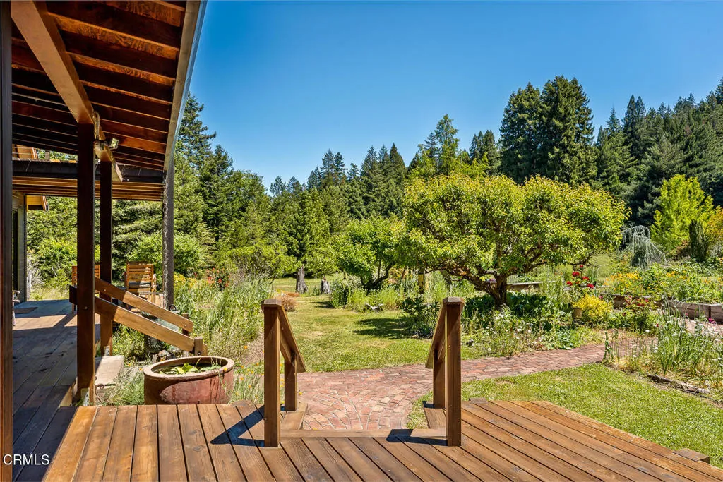 Deck View