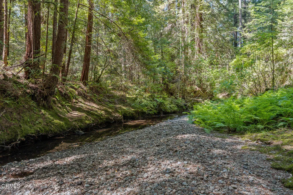 Albion River