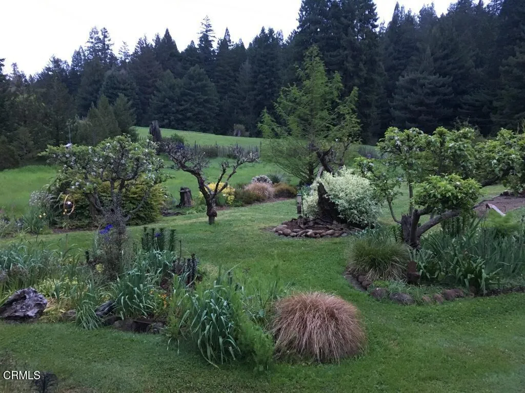 flower bed - 3