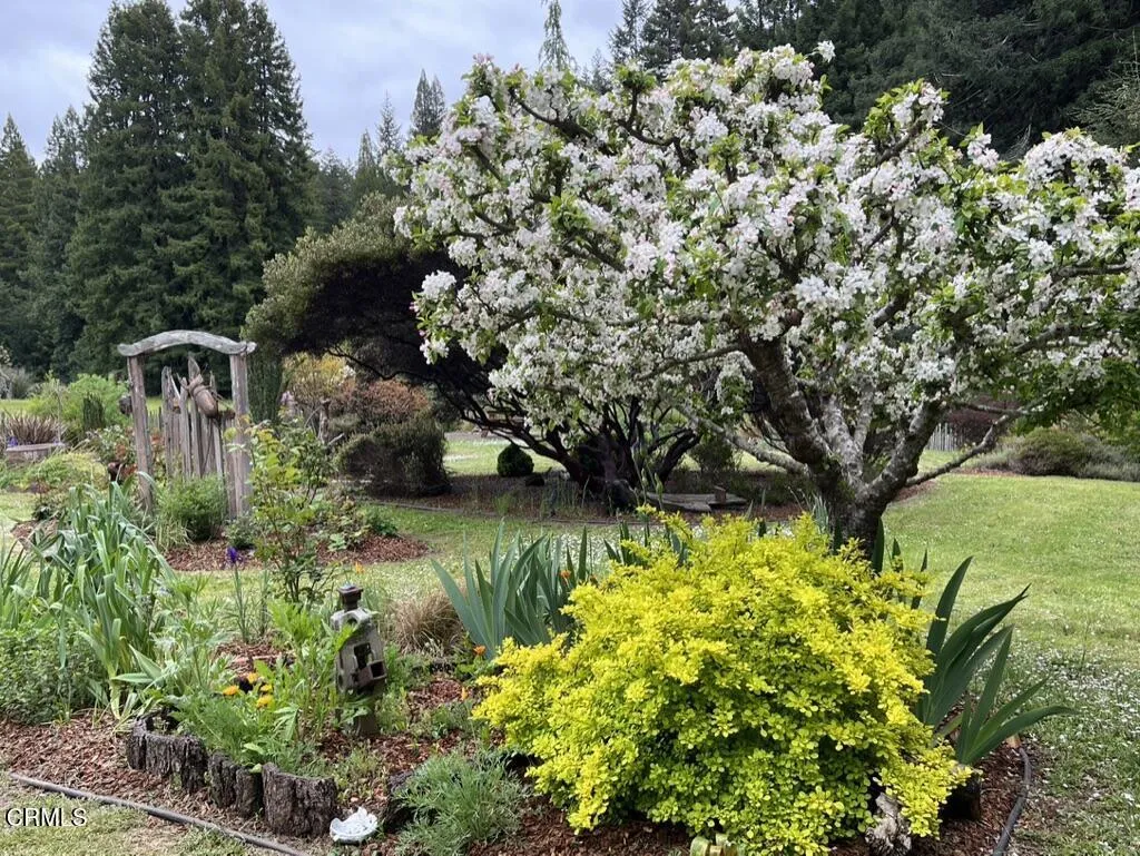 flower bed - 2