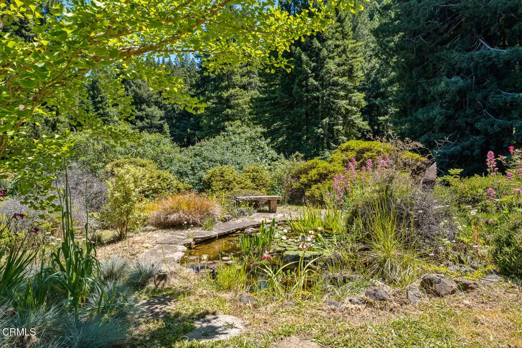 Koi Pond