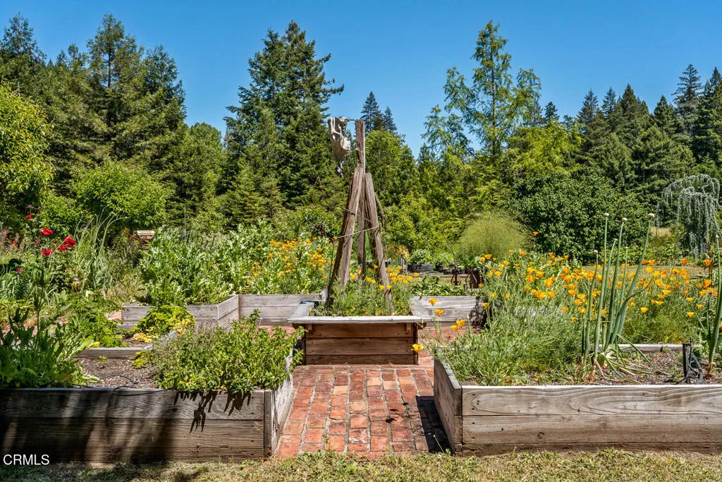 Veggie Garden