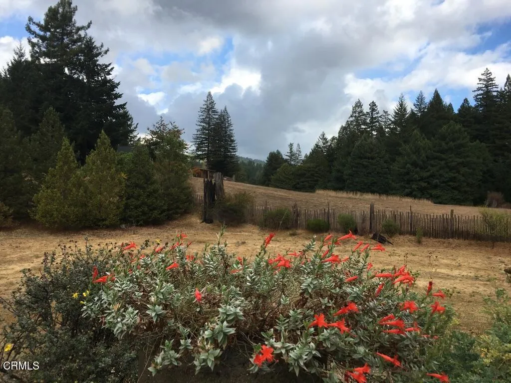 field
