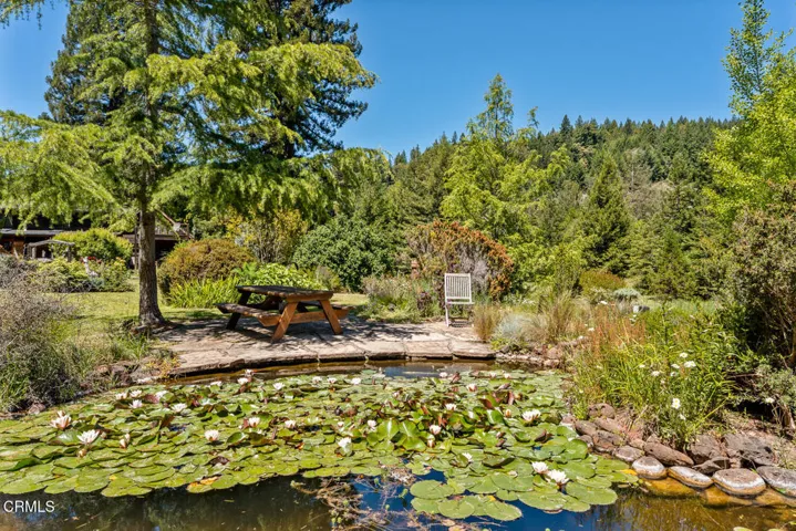 Koi Pond