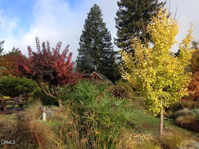 Fall colors