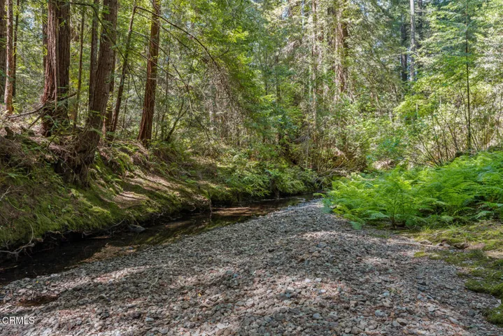 Albion River
