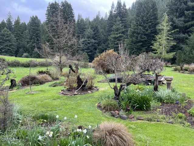 backyard overview