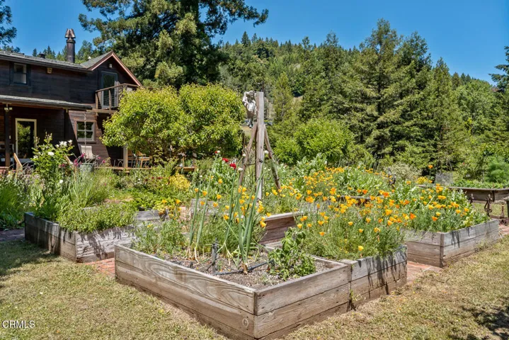 Veggie Garden
