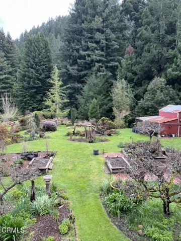 backyard overview - 2