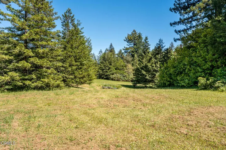 Meadow