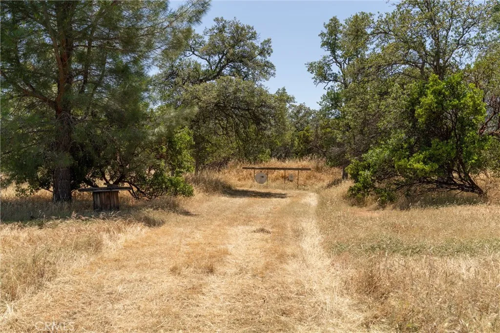 Shooting Range