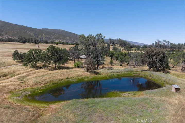 Seasonal Pond
