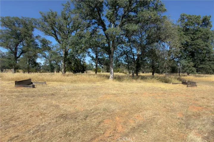 Horseshoe pits
