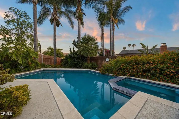 Pool / Backyard