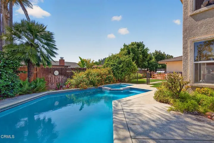 Pool / Backyard