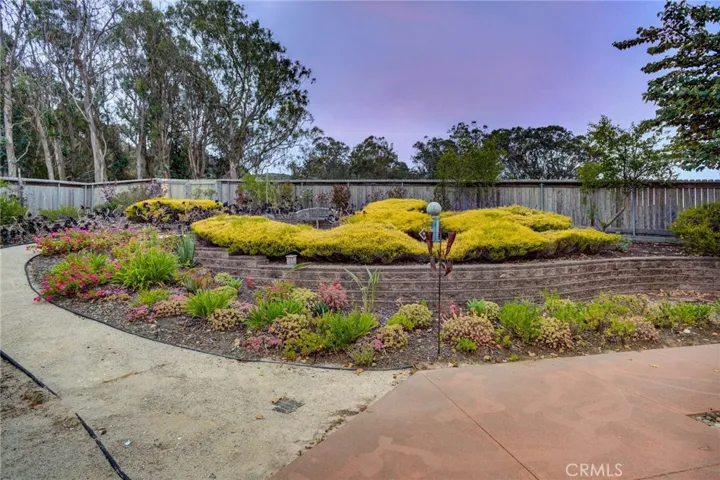 landscaped area of backyard