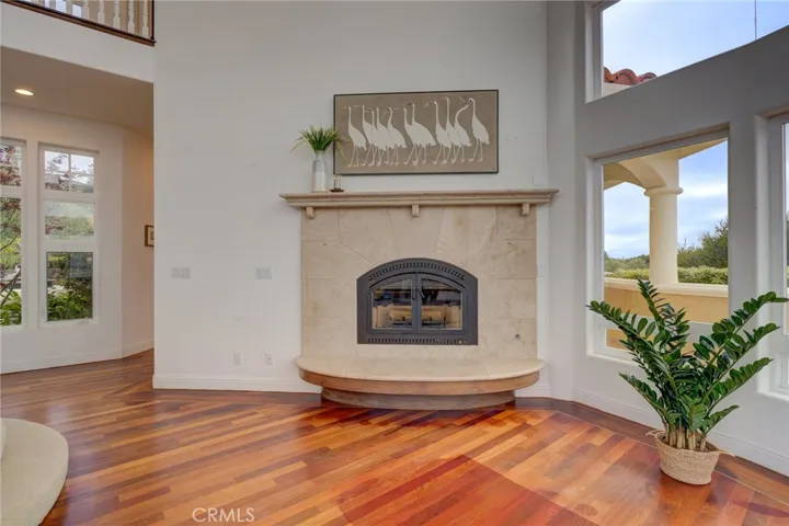 Large gas fireplae