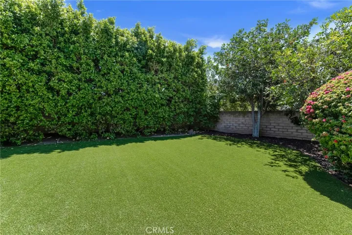 Lawn Area