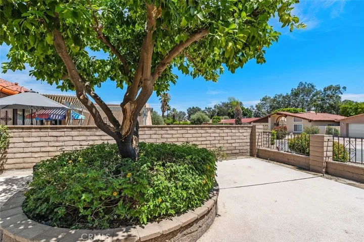 Front Yard