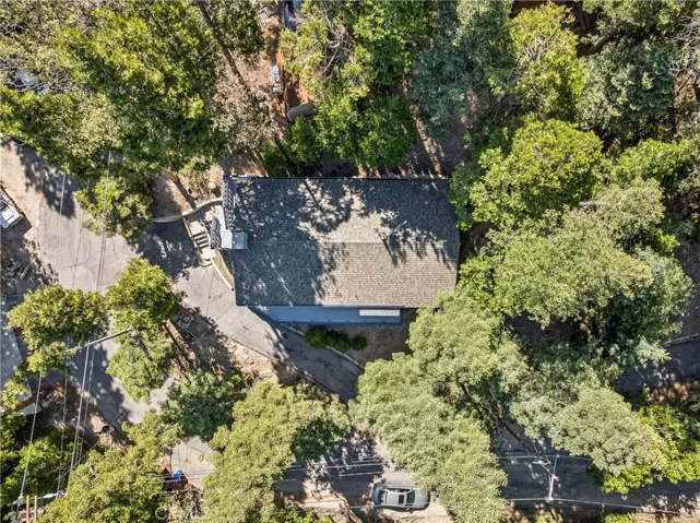29029 Alder Terrace, Cedar Glen, California 92321