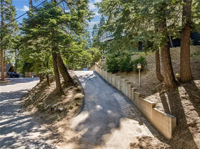 29029 Alder Terrace, Cedar Glen, California 92321