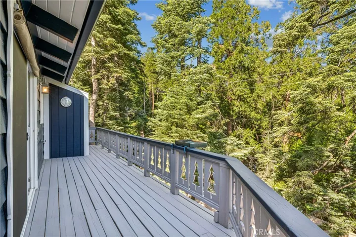 29029 Alder Terrace, Cedar Glen, California 92321