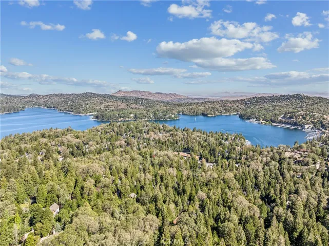 29029 Alder Terrace, Cedar Glen, California 92321