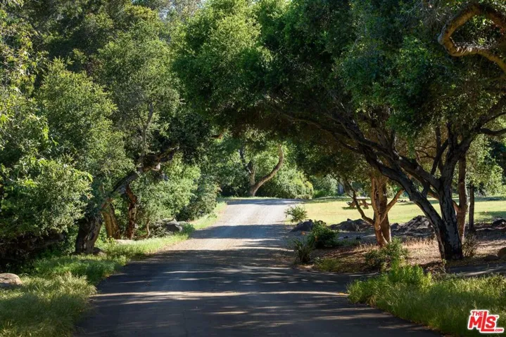 Oak Lined Driveway
