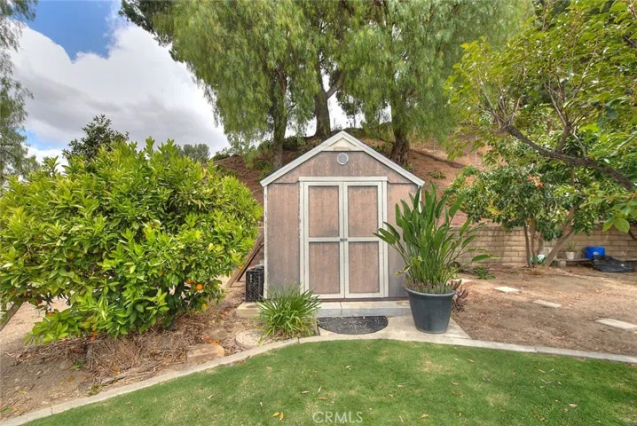 Backyard shed