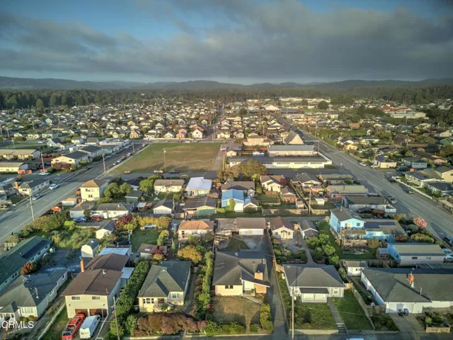 AERIAL
