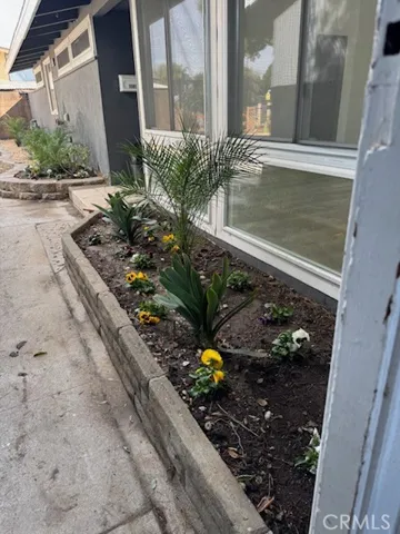 Drought Resistant Landscaping