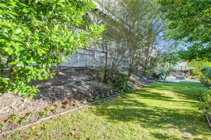 rear yard with fruit trees