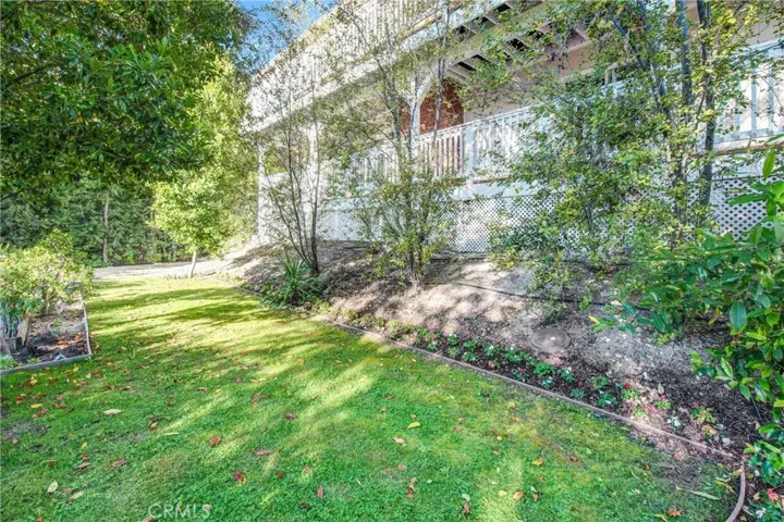 lower yard with fruit trees