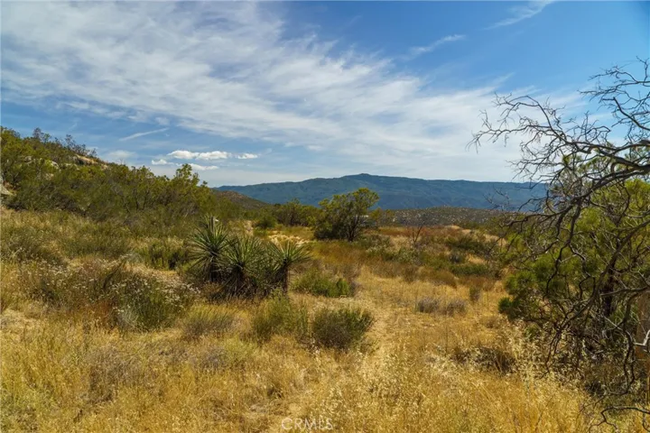 44700 Gold Creek Lane, Aguanga, California 92536