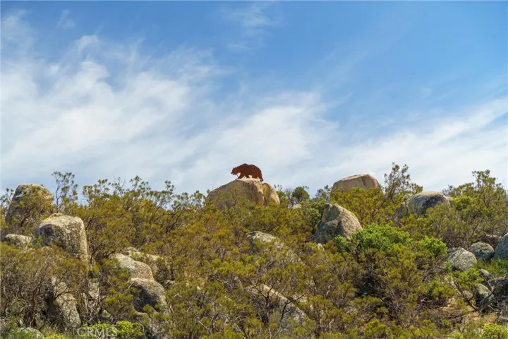 44700 Gold Creek Lane, Aguanga, California 92536