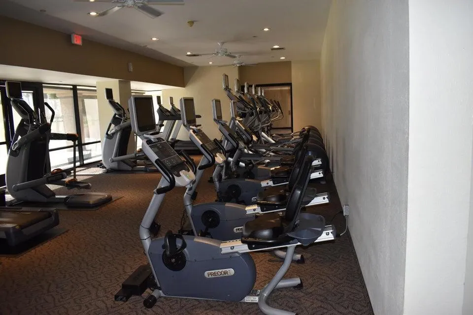 DF All treadmills 2