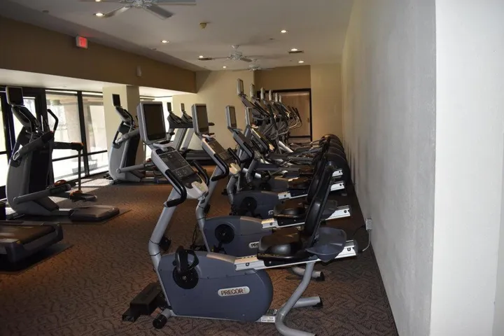 DF All treadmills 2