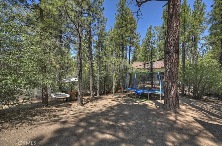 904 Raleigh Drive, Big Bear City, California 92314