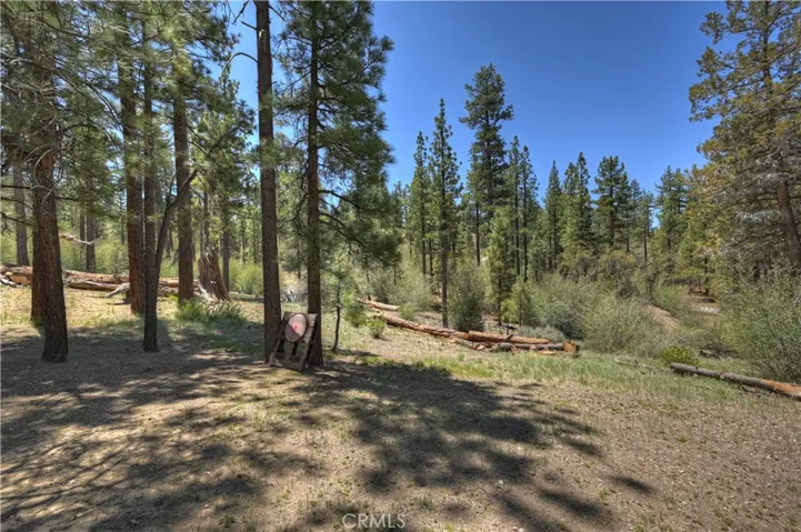 904 Raleigh Drive, Big Bear City, California 92314