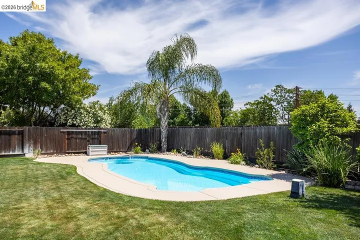 Rear yard with an in-ground swimming pool featuring a freeform design and concrete coping
