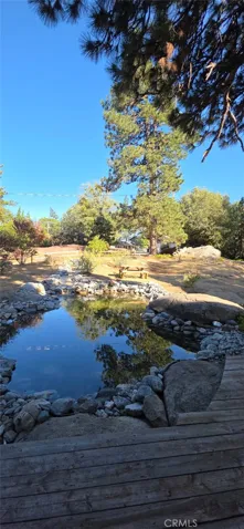 The Pond